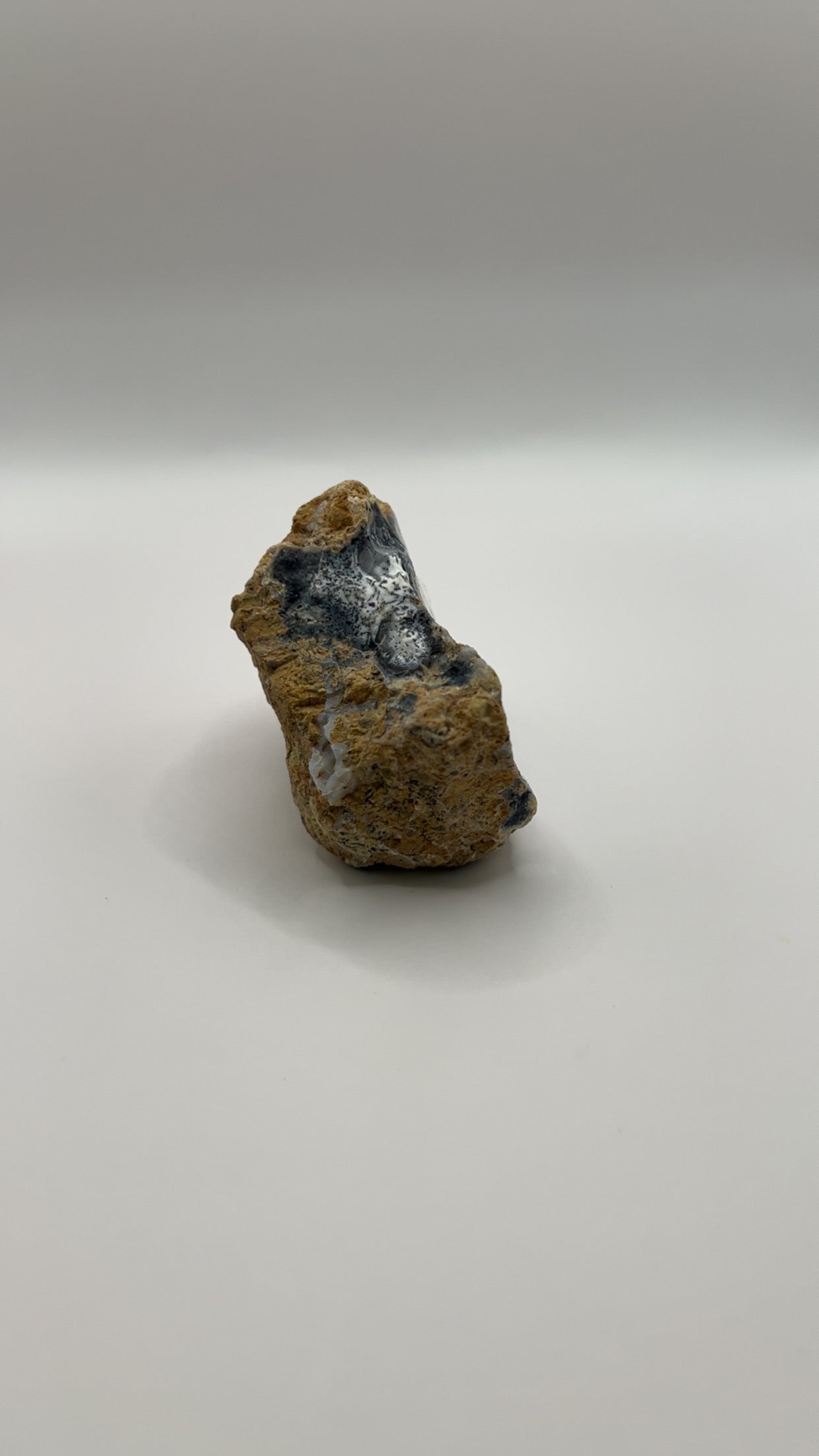 Dendritic Opal Raw Chunk