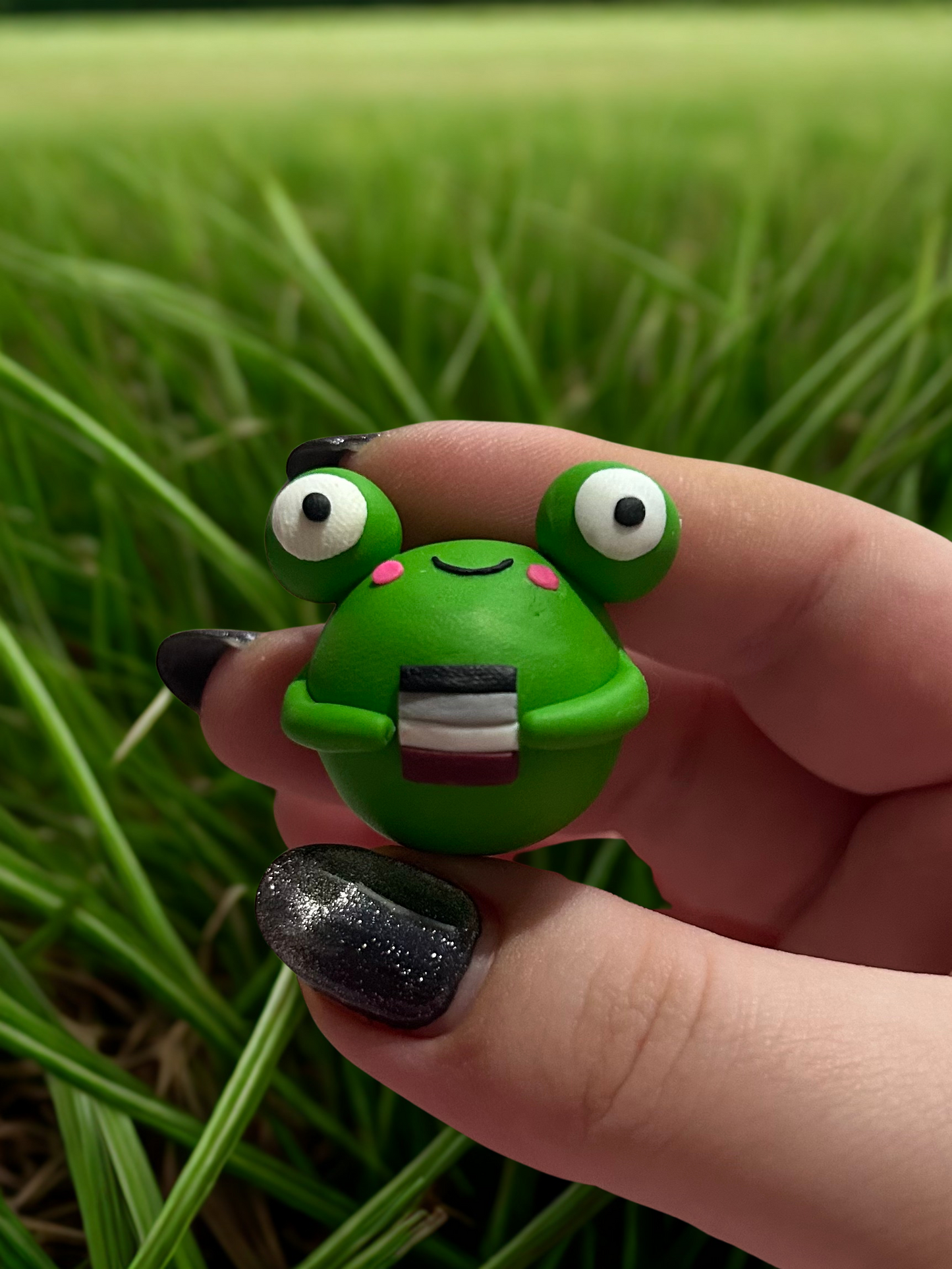 Asexual flag froggie