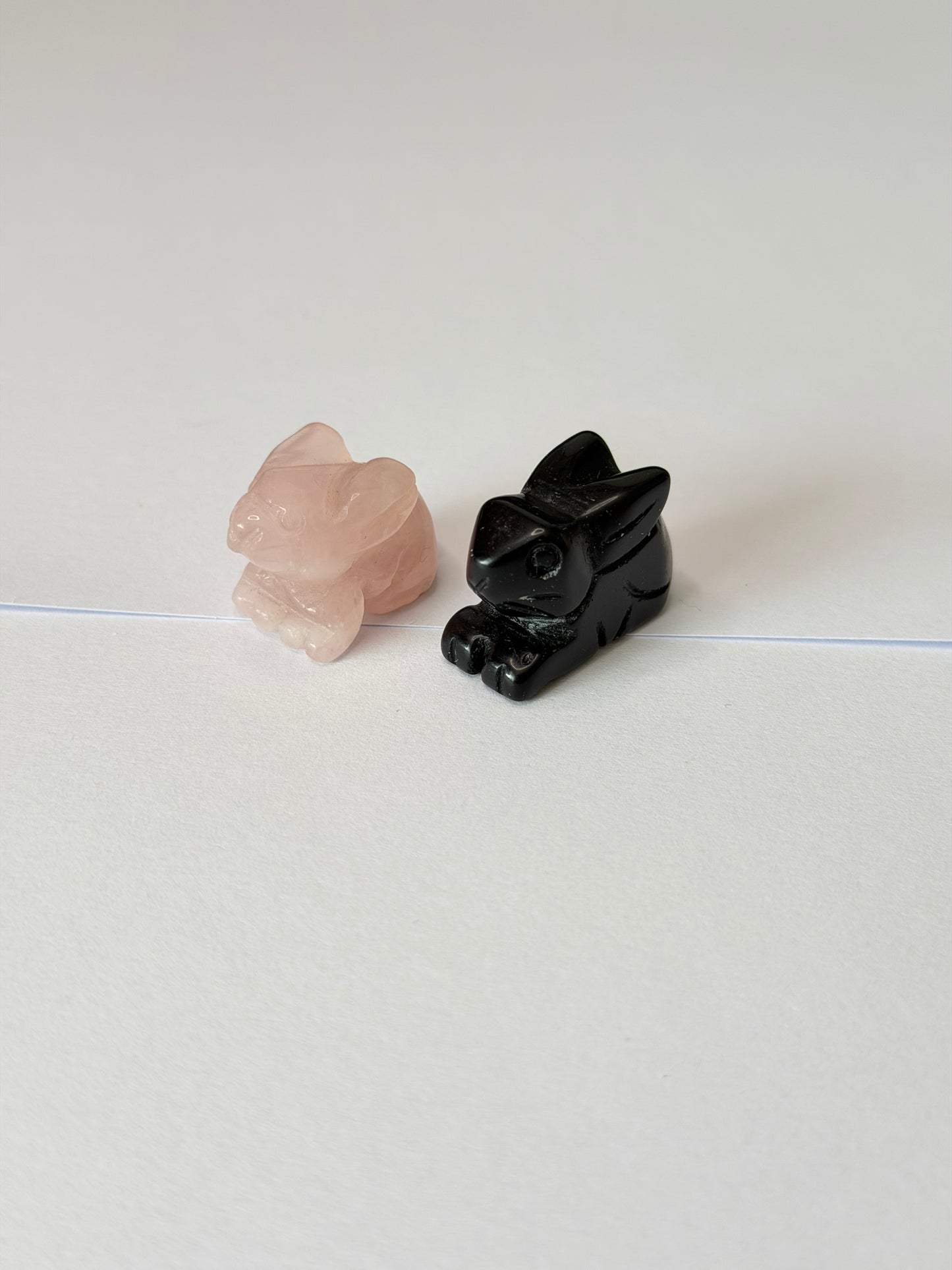 Sitting bunnies