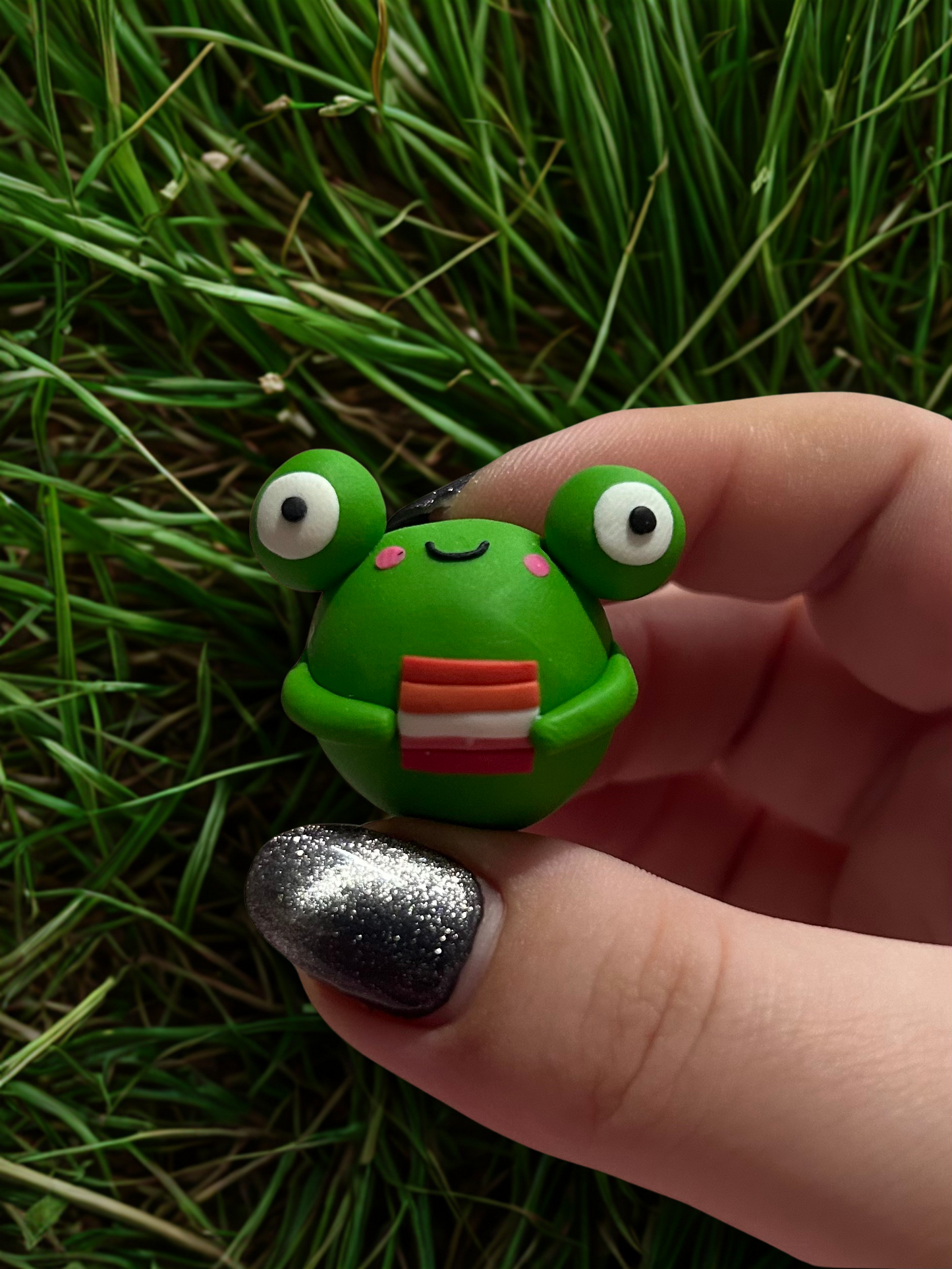 Lesbian flag froggie