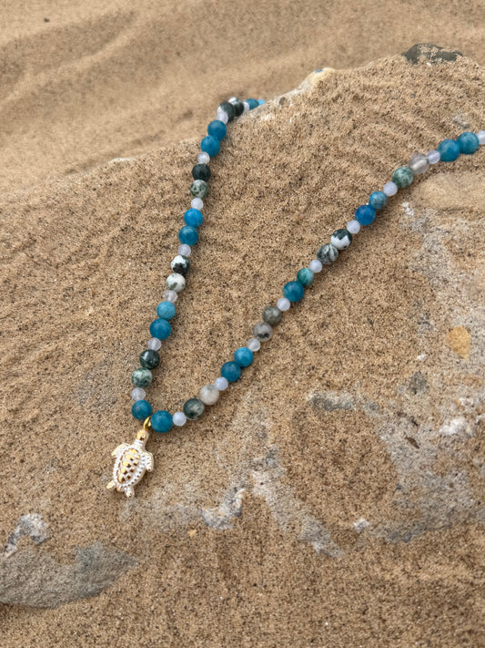 Tidal Turtle