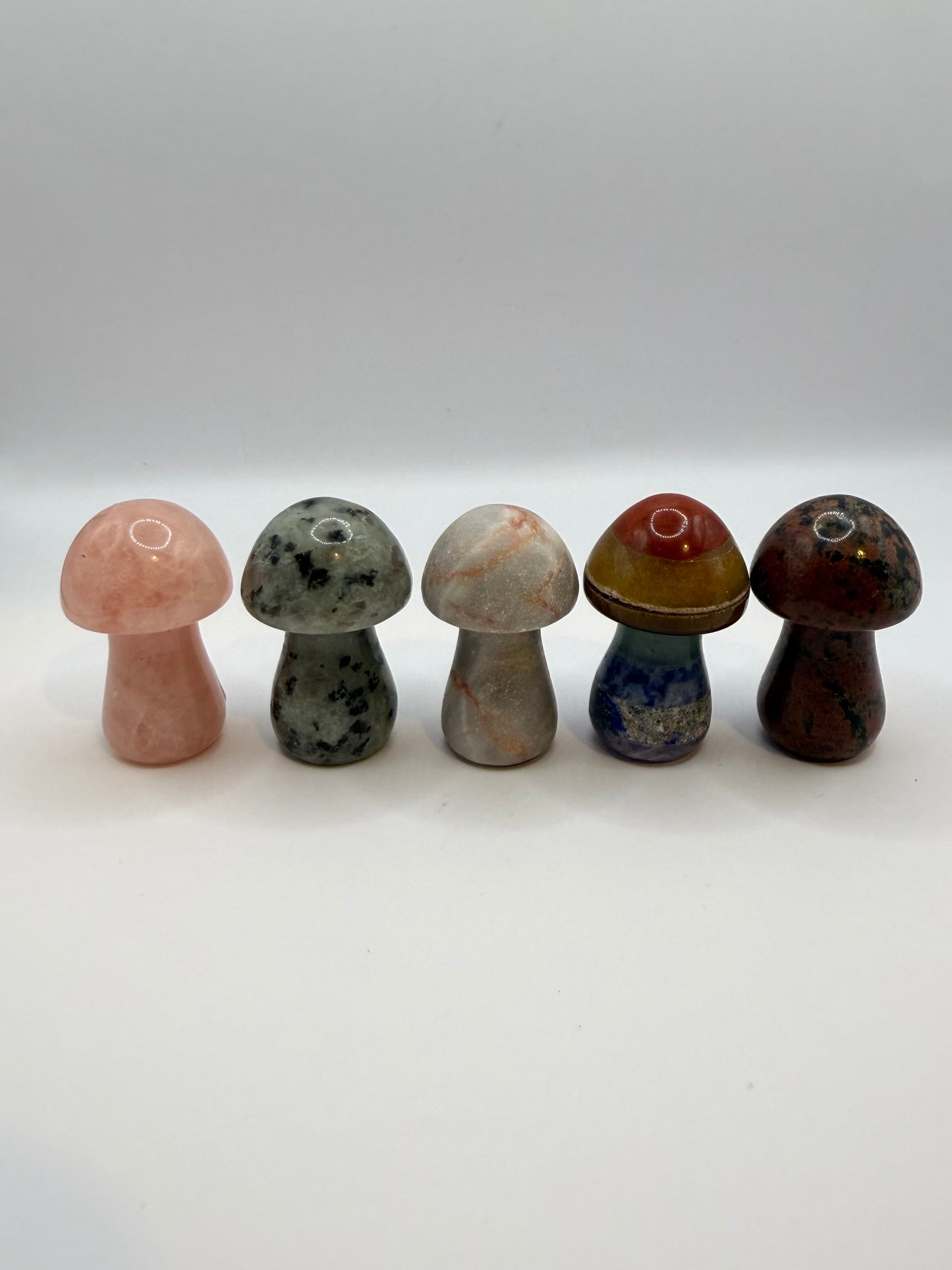 Larger crystal mushrooms