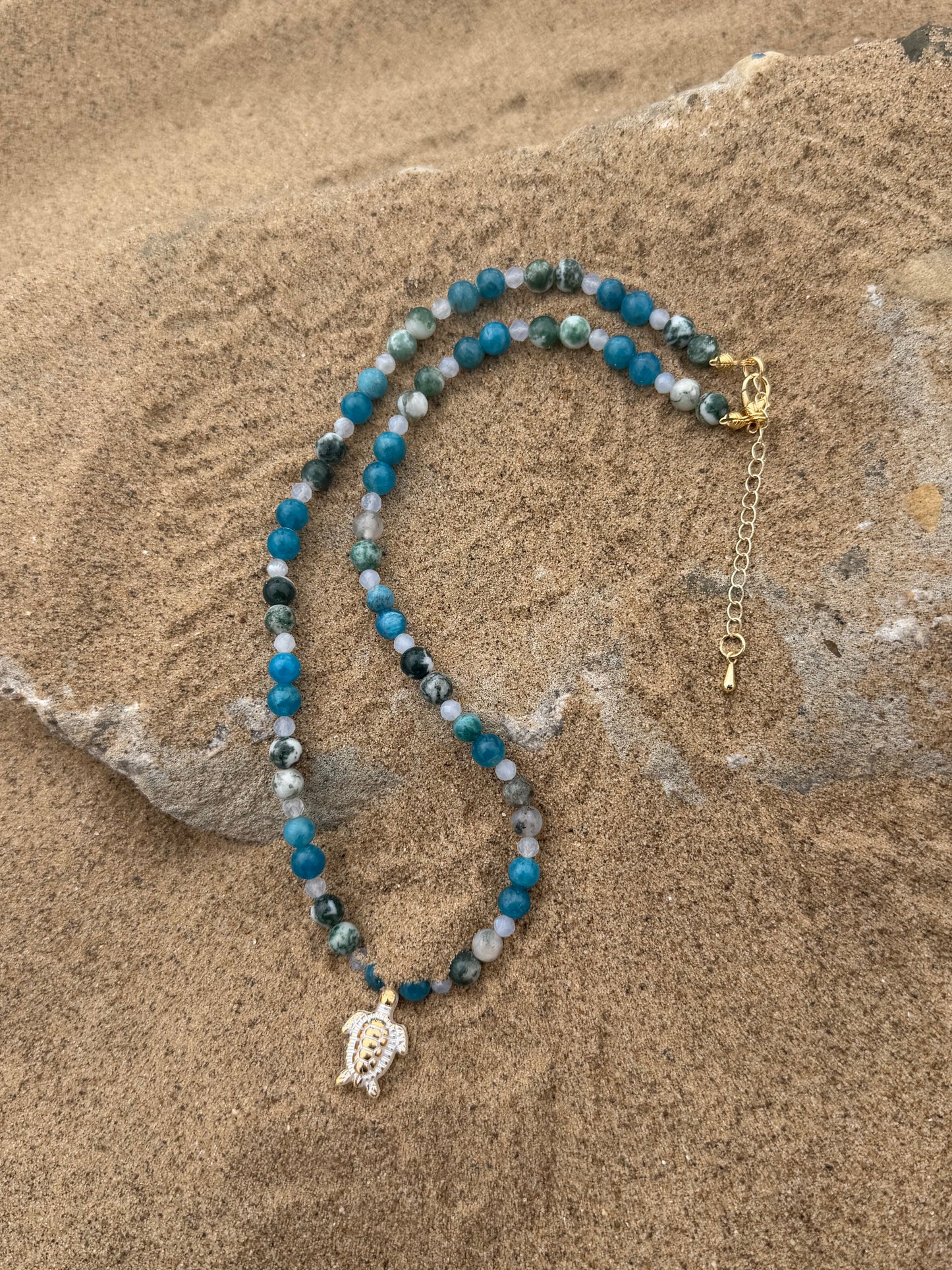 Tidal Turtle