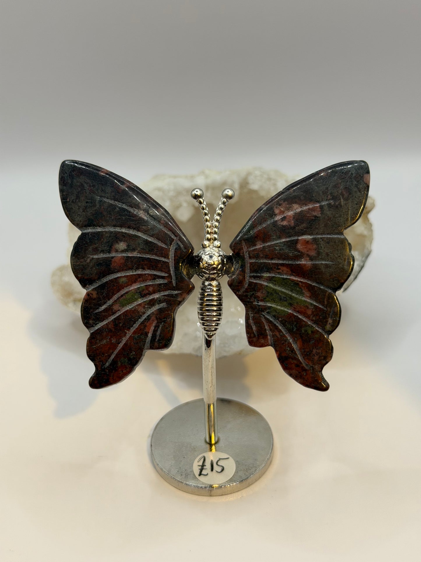 Dragons blood Butterfly