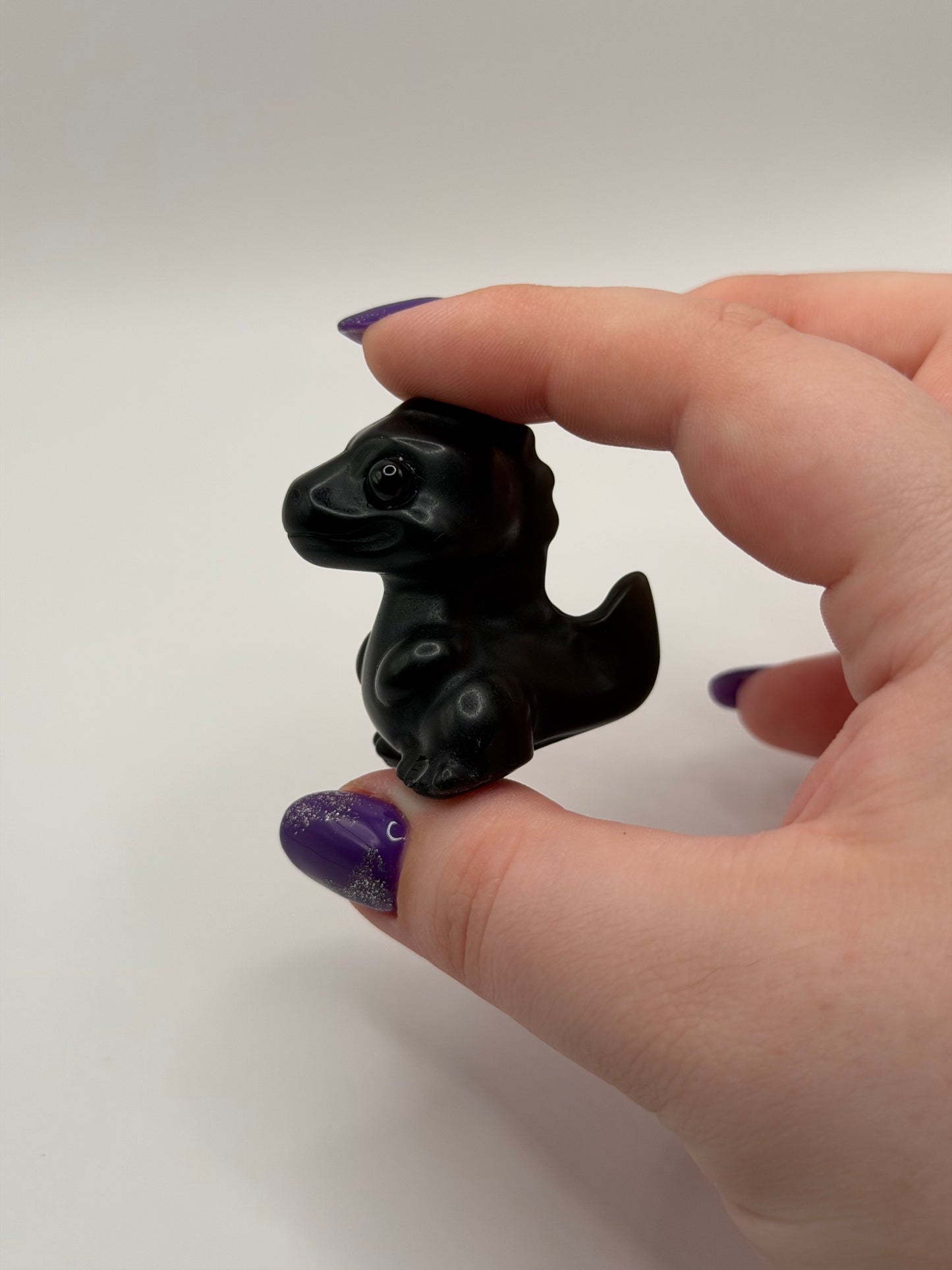Dinosaur carvings