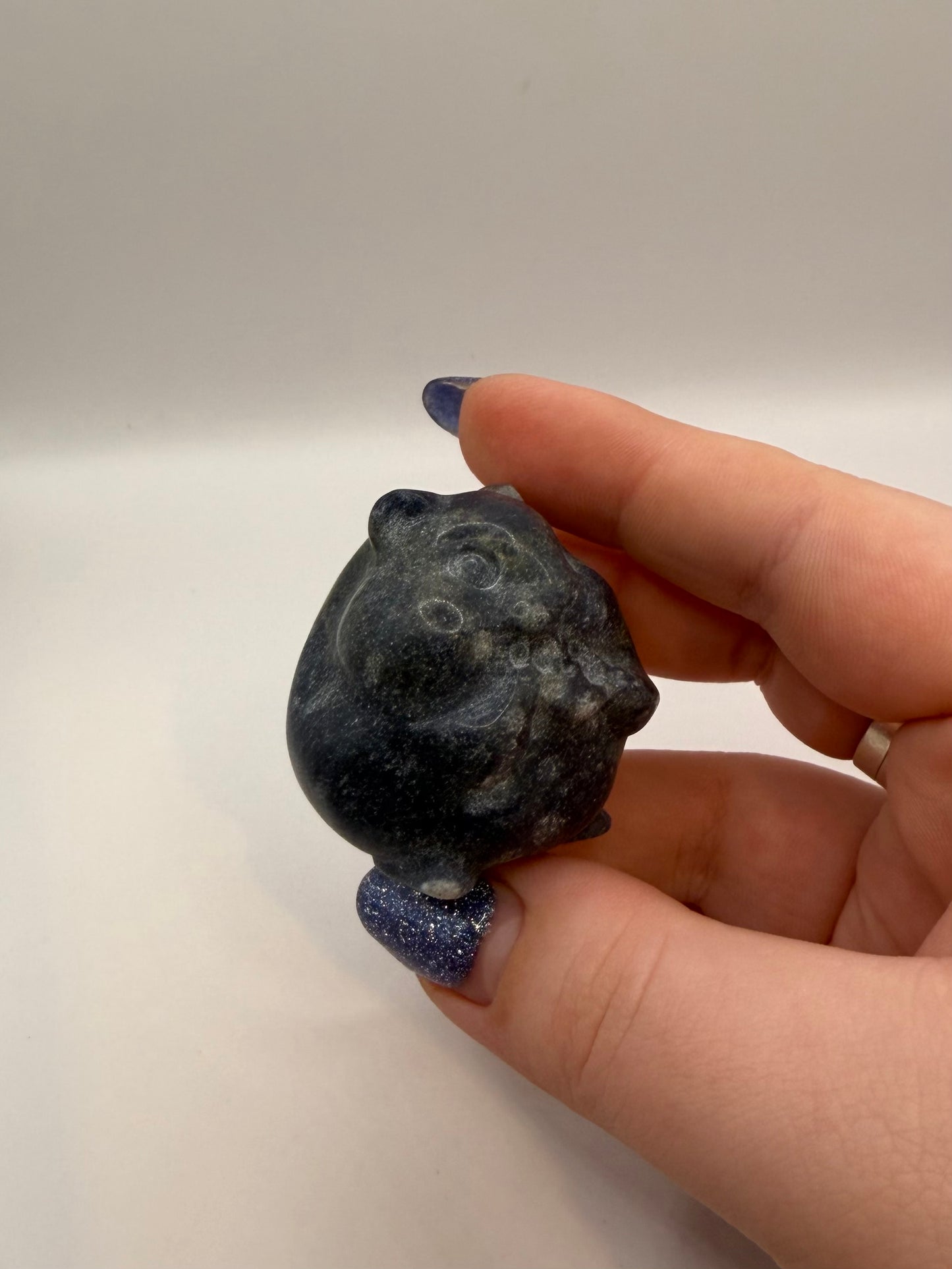 Blue Aventurine Hamster