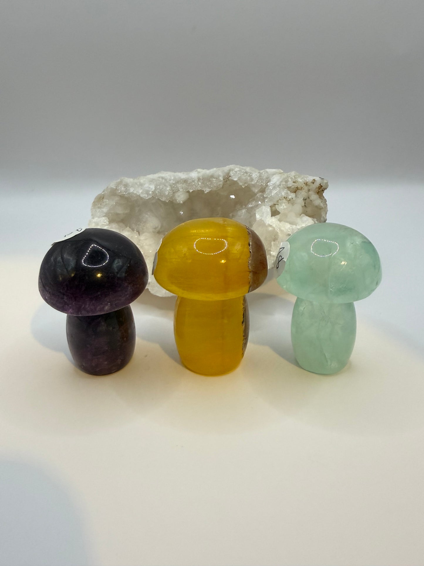 Fluorite Mushrooms