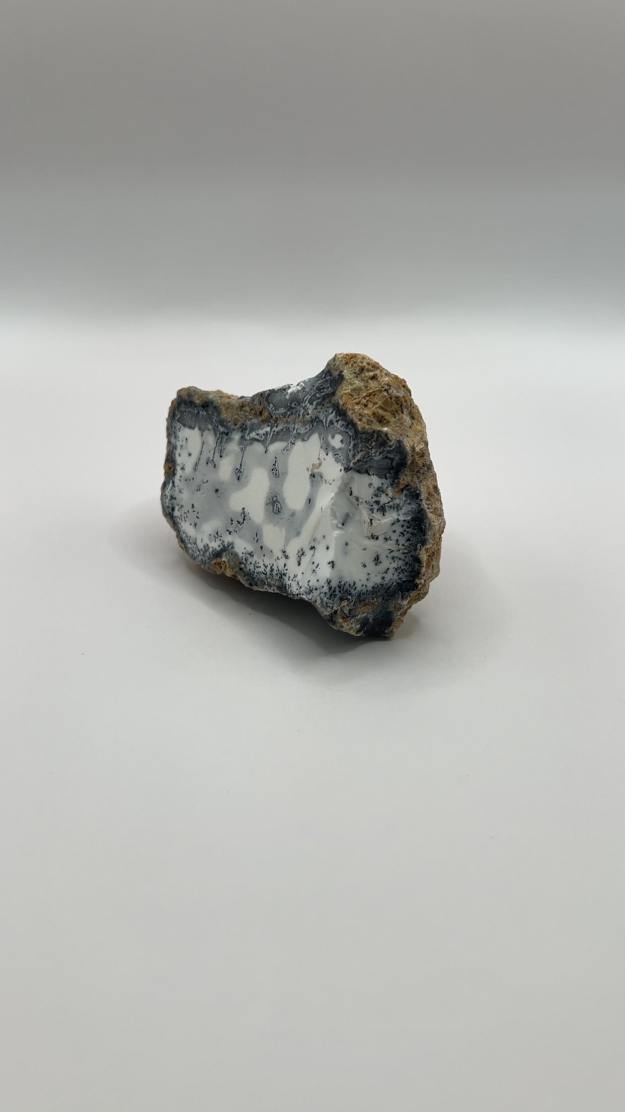 Dendritic Opal Raw Chunk