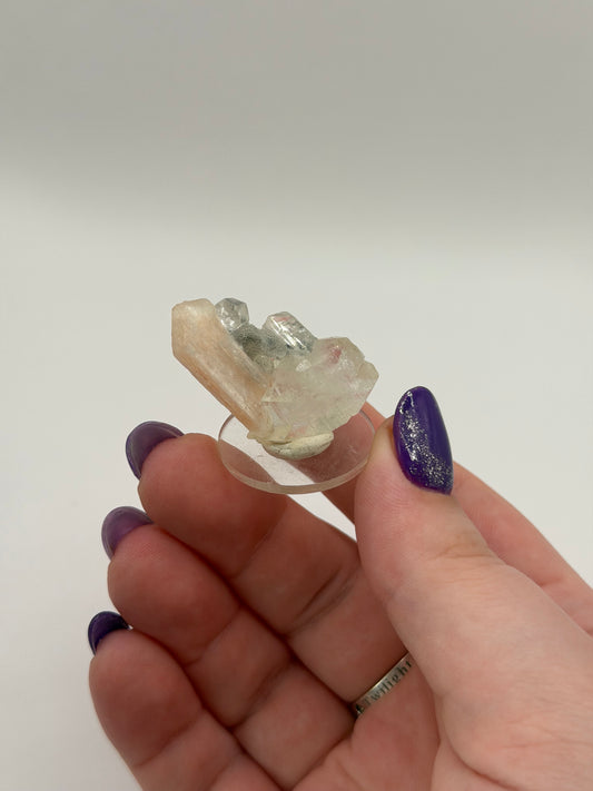 Diamond Apophyllite with stillbite