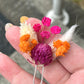 Dried flower hair pins