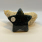 Moss agate star