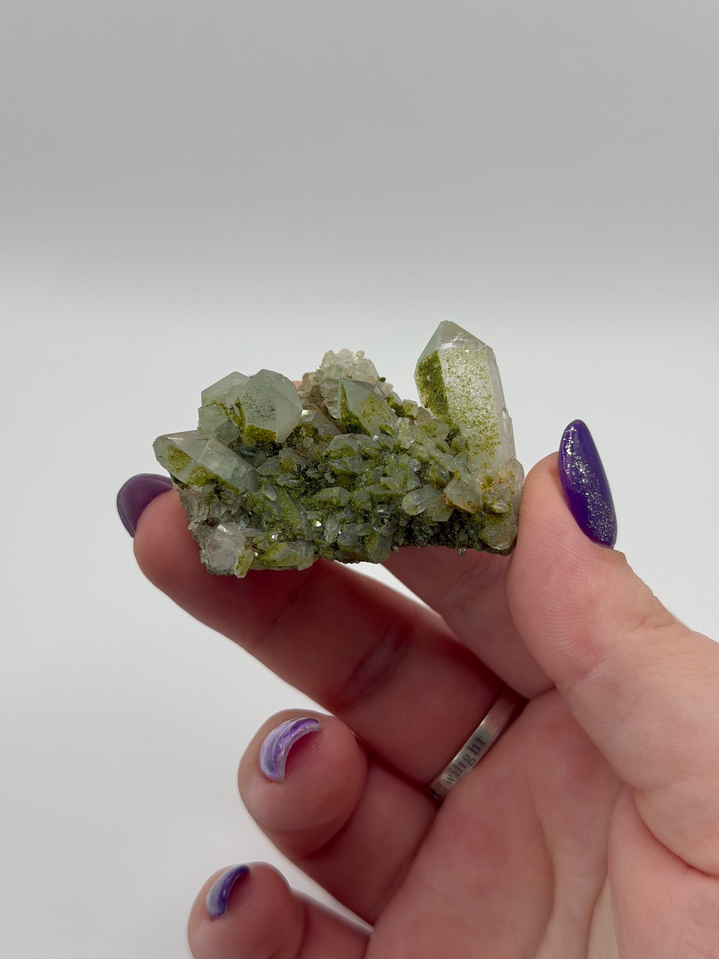 Chlorite on epidote quartz
