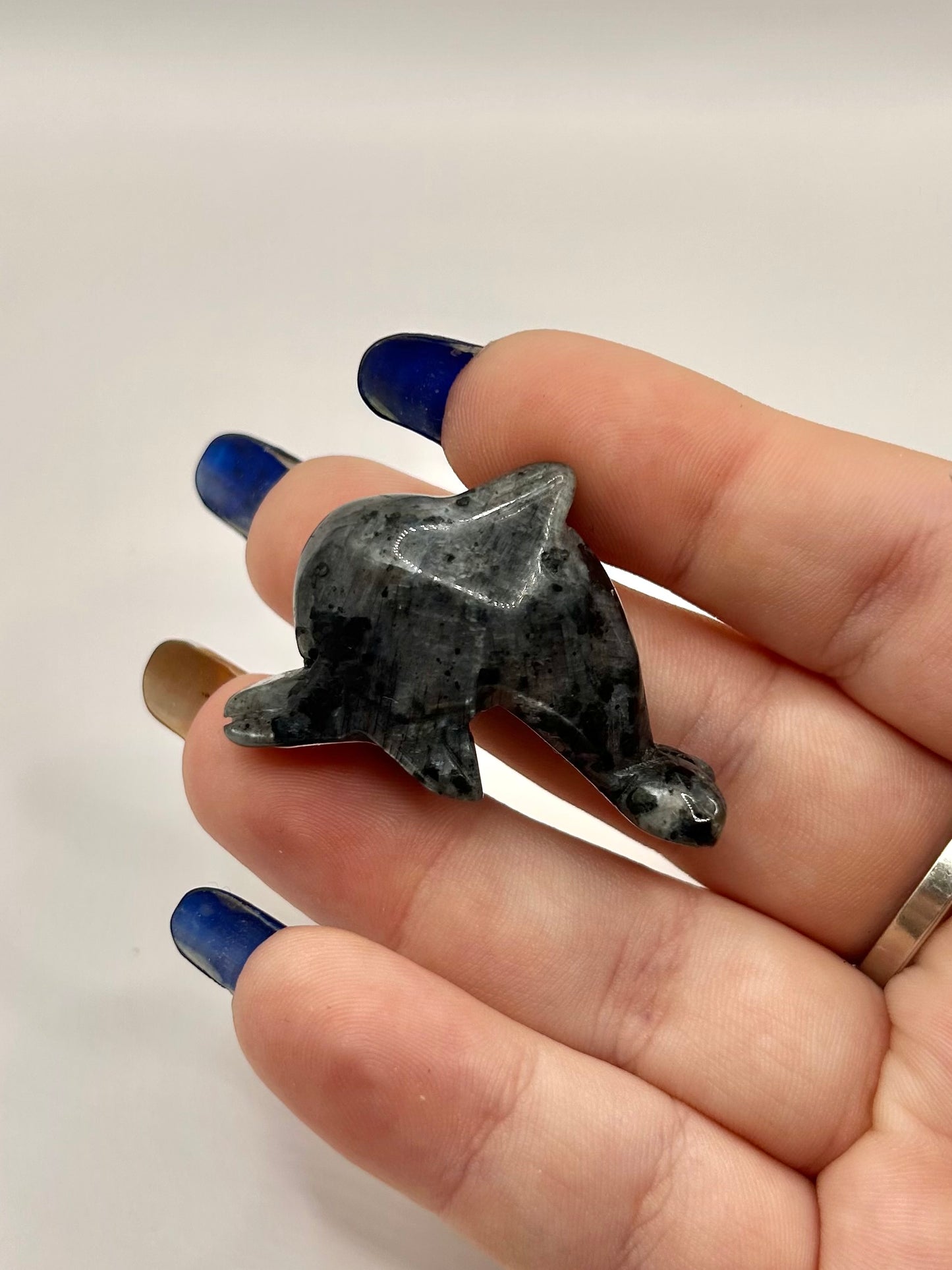 Larvakite dolphin