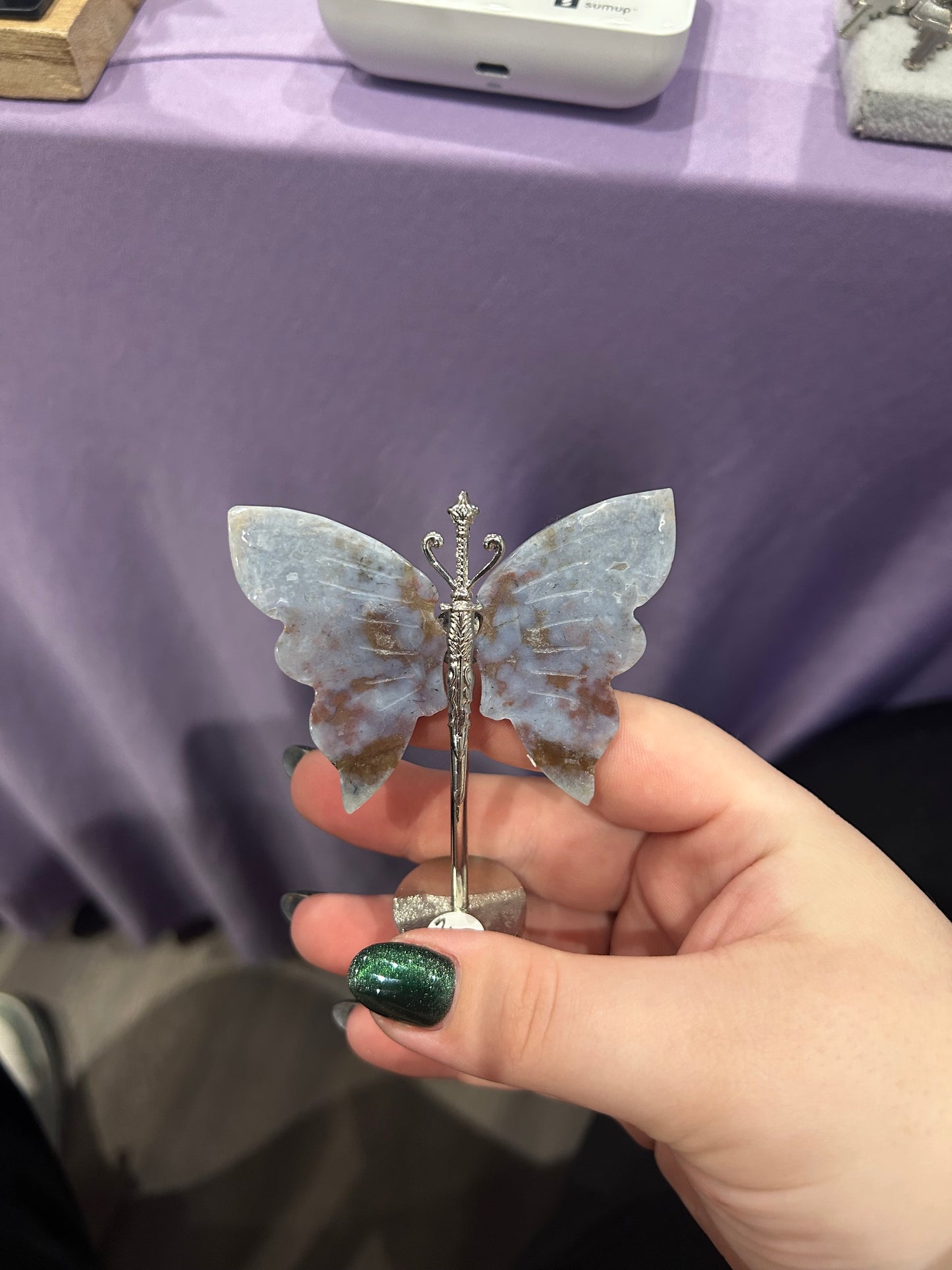 Ocean jasper butterfly