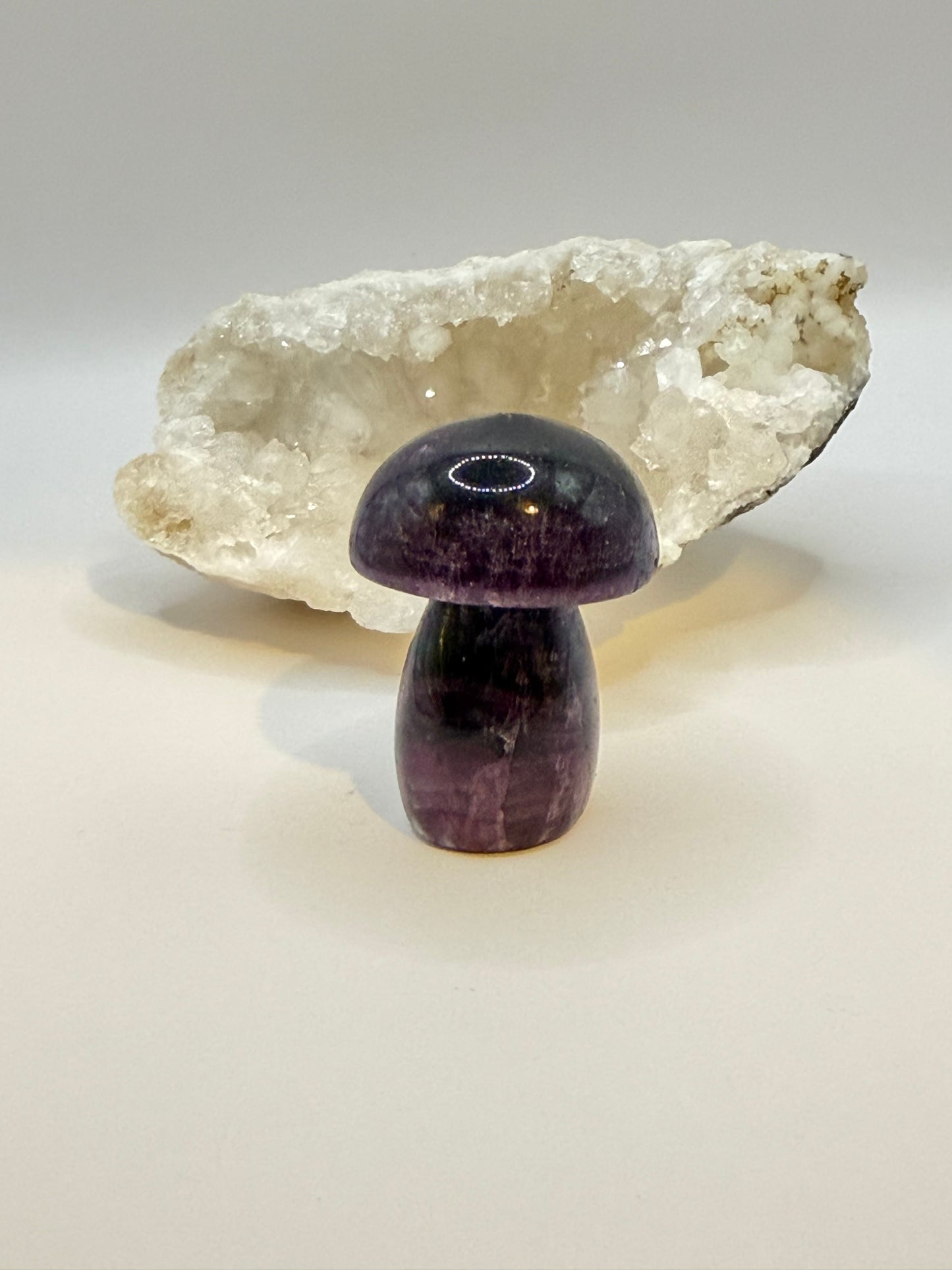 Fluorite Mushrooms