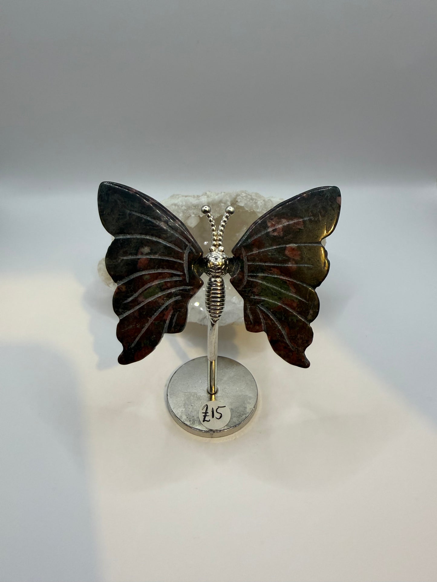 Dragons blood Butterfly