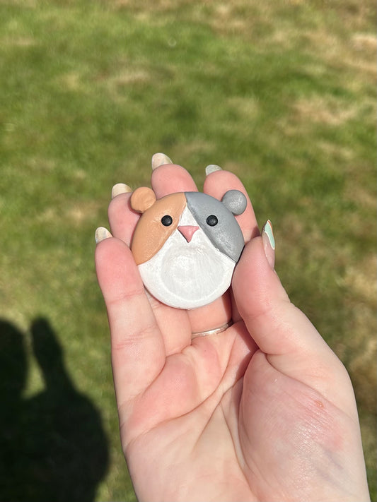 Guinea pig thumb stone