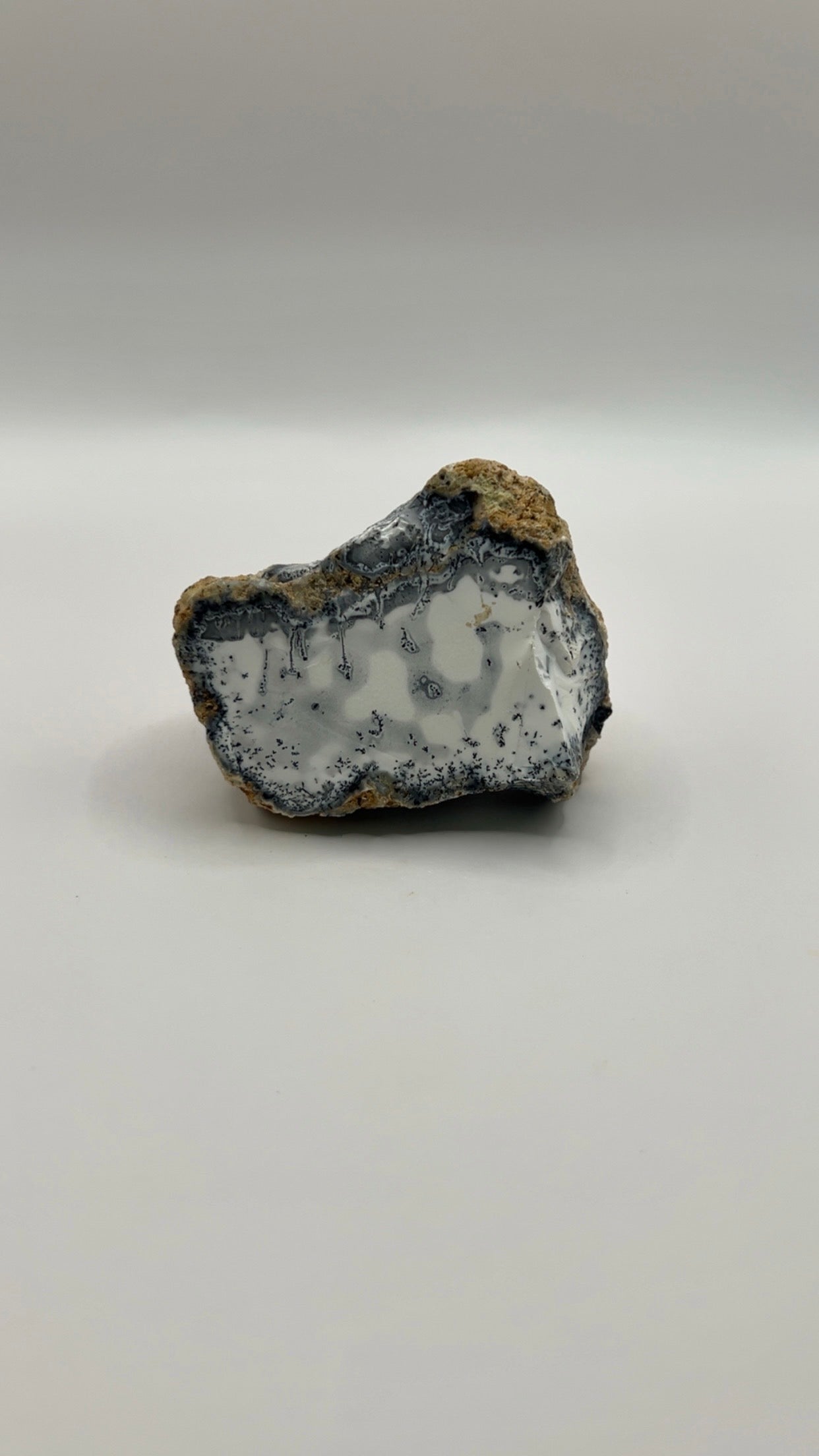 Dendritic Opal Raw Chunk