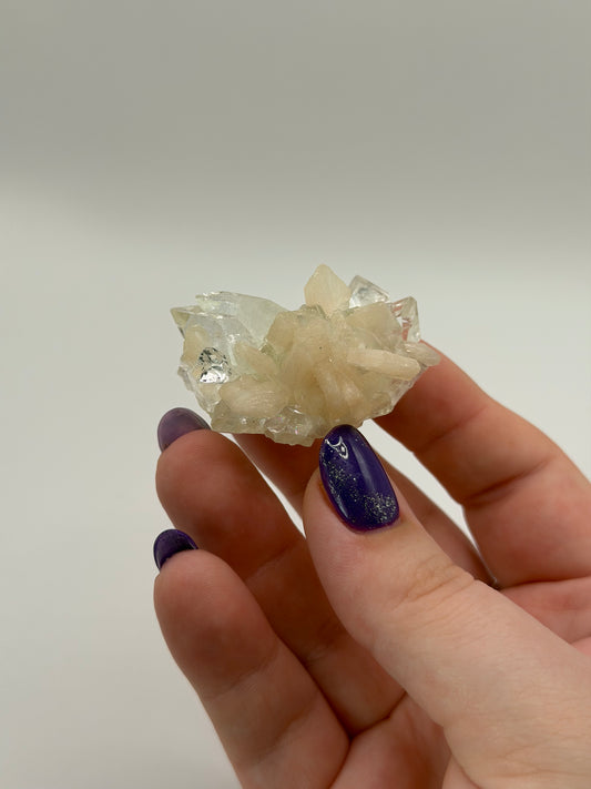 Diamond Apophyllite with stillbite #2