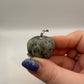Kiwi jasper pumpkin