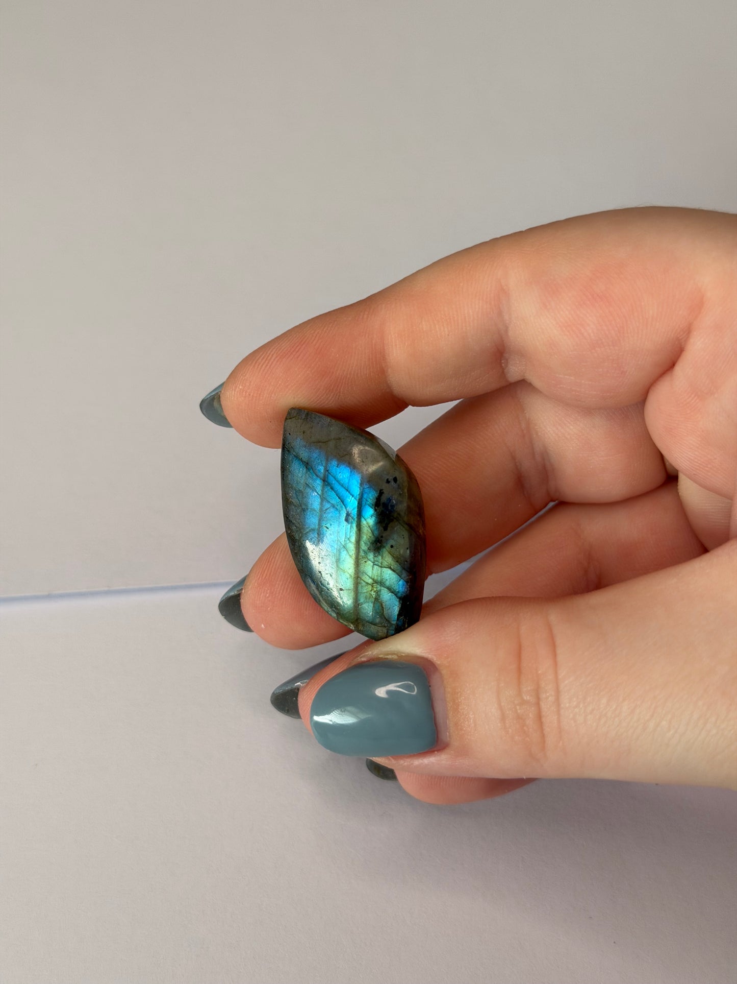 Labradorite leaves