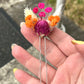Dried flower hair pins